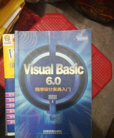 Visual Basic 6.0程序設(shè)計(jì)實(shí)務(wù)入門(無(wú)碟)