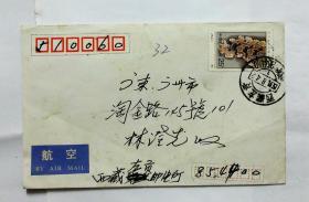 西藏左贡双文字戳贴航空标签实寄封