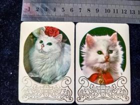 年历片——1984年（动物 猫 2 张）