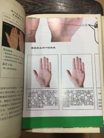 王晨霞说掌纹与五脏六腑