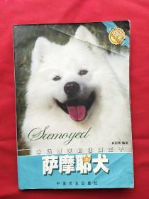 萨摩耶犬