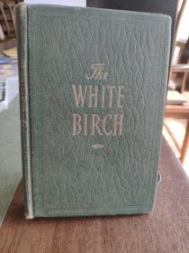 THE WHITE BIRCH（英文版：白桦树）