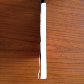 诗词格律概要 诗词格律十讲