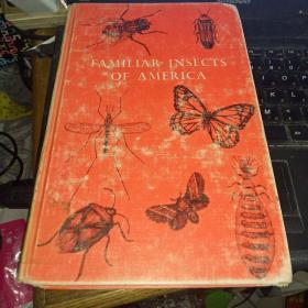 FAMILIAR INSECTS OF AMERICA