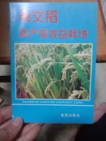 杂交稻高产高效益栽培