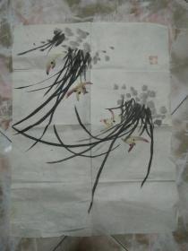 兰