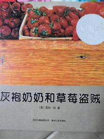 灰袍奶奶和草莓盗贼