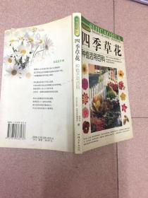 拈花惹草系列：四季草花种植活用百科