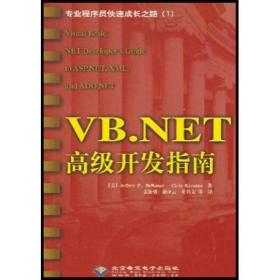 VB.NET高级开发指南