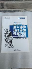 深入体验Java Web开发内幕：高级特性