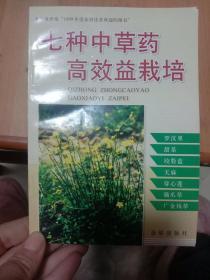 7种中草药高效益栽培