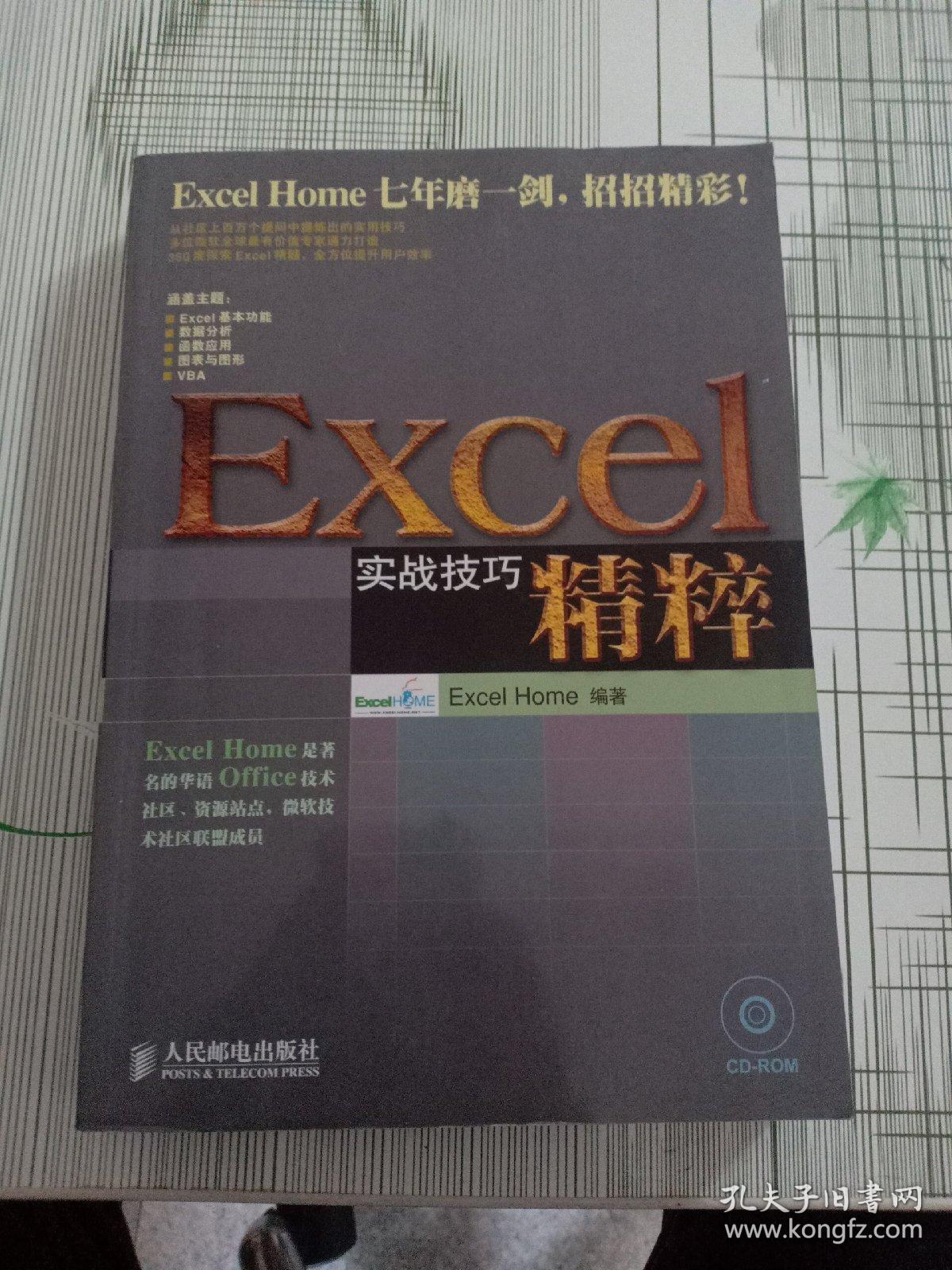 Excel实战技巧精粹（无盘）