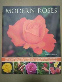 MODERN ROSES