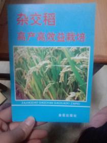 杂交稻高产高效益栽培