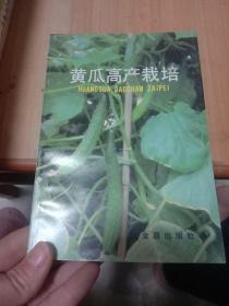 黄瓜高产栽培
