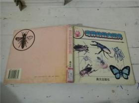 奇异的昆虫图典