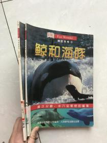 视觉奇观14鲸和海豚