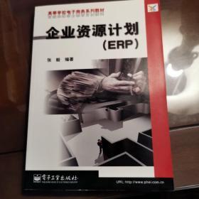 企业资源计划 (ERP)