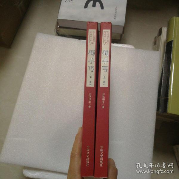 独手丐 . 上册