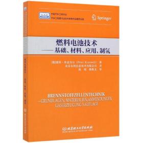 燃料电池技术—基础、材料、应用、制氢