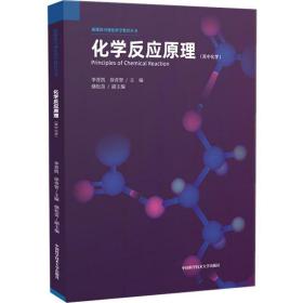 新媒体可视化科学教育丛书：化学反应原理（高中化学）