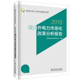 能源与电力分析年度报告系列 2019  国内外电力市场化改革分析报告