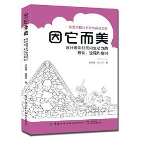 ☆因它而美 设计激发村民内生动力的理论流程和案例