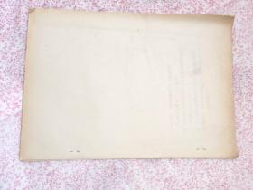 王字本意试探,(YA184)