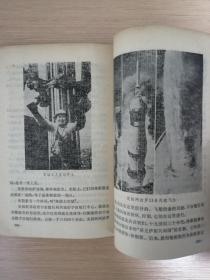 美国走马观花记  1980年一版一印  上海人民出版社