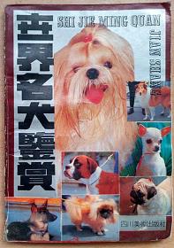 世界名犬鉴赏