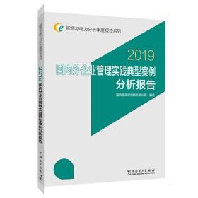 能源与电力分析年度报告系列 2019 国内外企业管理实践典型案例分析报告