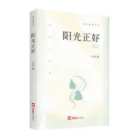 南方叙事丛书：阳光正好