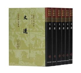 中国古典文学丛书：文选 1--6（32开精装  全六册）