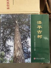 滦平古树 塑封未开