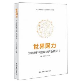 世界网力2018年中国网信产业桔皮书