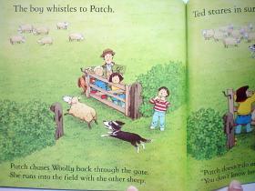 The Silly Sheepdog(Farmyard Tales Readers) (平装原版外文书)