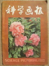 科学画报 1983年8月号 世界体育馆种种 创刊五十周年钱伟长张孟闻题词 遗传工程的第一个产品 精神分析学与爱德华大夫 1983年上海市中学数学竞赛 肾脏病人的饮食 治甲沟炎单方-无名异散 糖尿病病人的运动处方 古代世界三大海战 潜泳