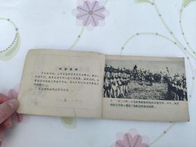 绿宝石护身符