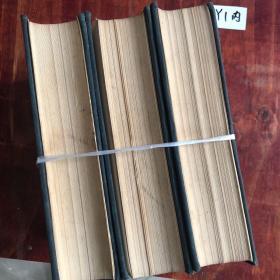 新帕尔格雷夫经济学大辞典 （1.3.4)