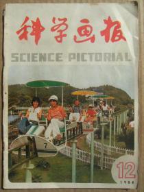 科学画报 1984年12月号 上海锦江乐园 第三届国际中国科学史讨论会散记 发明大王中松义郎 眉毛与健康 纽伦堡世界玩具博览会巡礼 袋鼠拳击家 拉链生产流水线 浅谈自动推进炮车的演变 南极冷还是北极冷