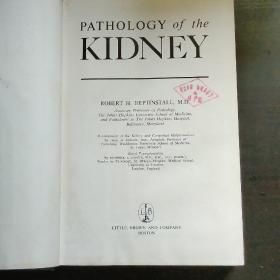 PATHOLOGY of the KIDNEY (肾脏病理学)