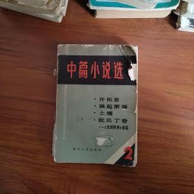 中篇小说选