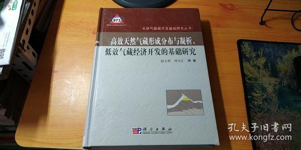 高效天然气形成分布与凝析、低效气藏经济开发的基础研究