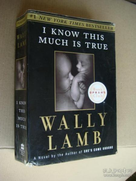 I Know This Much Is True (Oprah's Book Club) 英文原版 24开 厚重