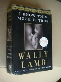 I Know This Much Is True (Oprah's Book Club) 英文原版 24开 厚重
