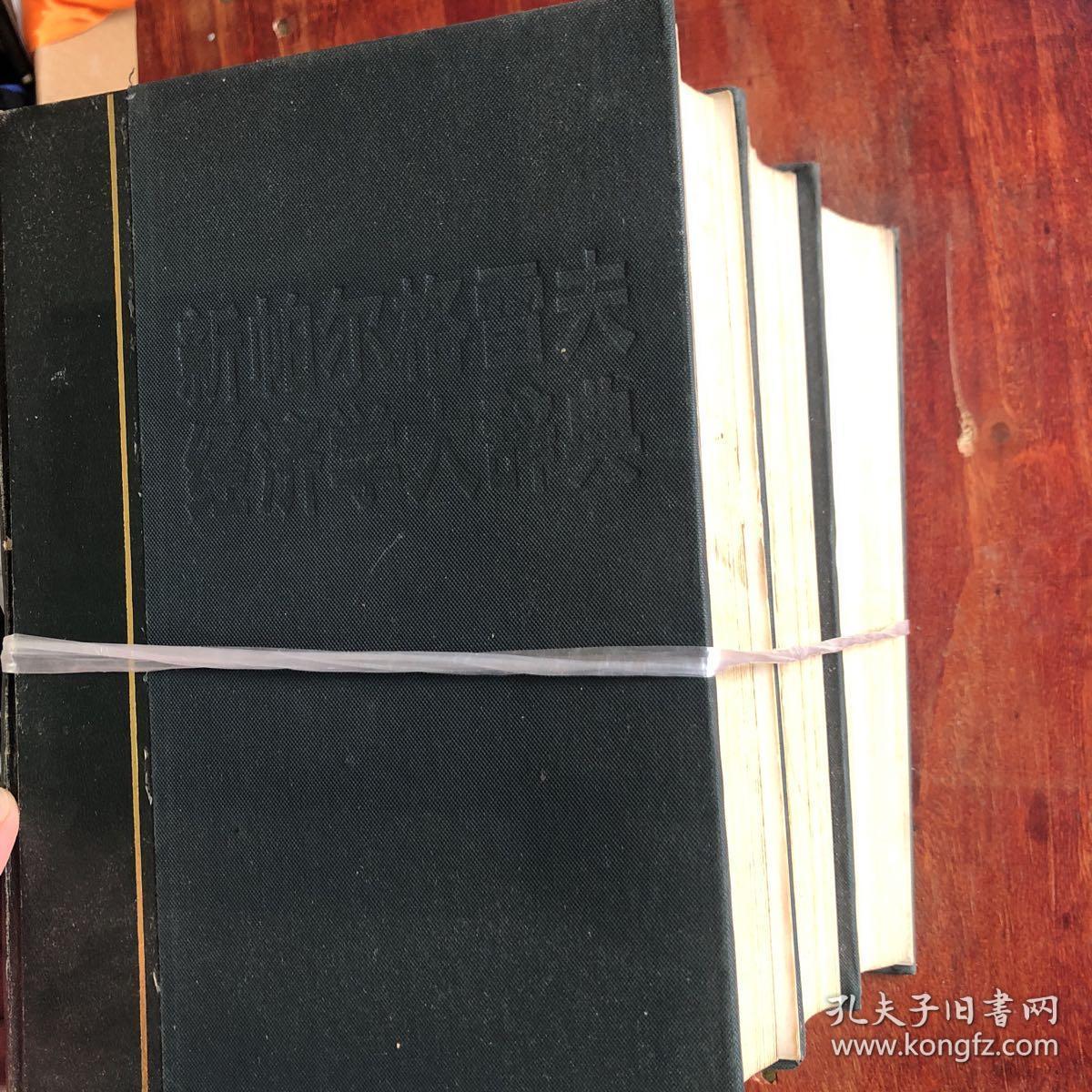 新帕尔格雷夫经济学大辞典 （1.3.4)