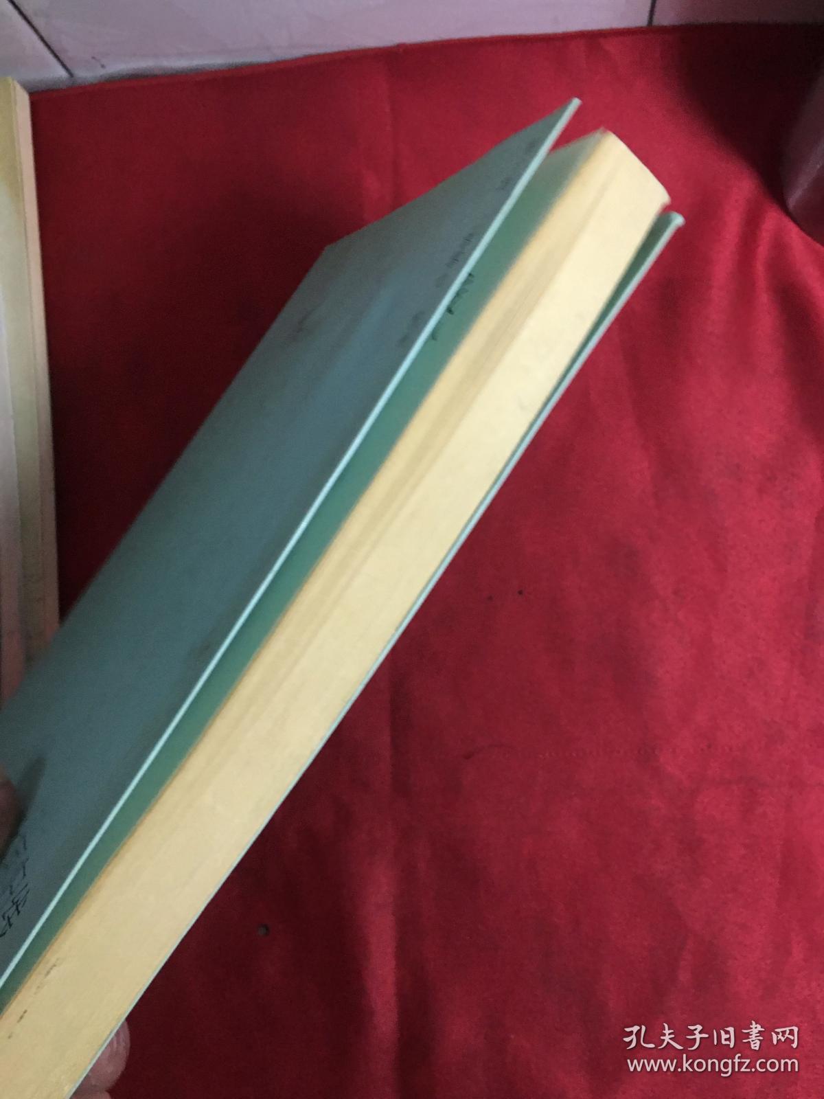 北回归线 中国当代先峰诗人