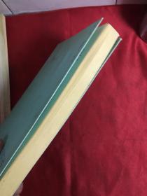 北回归线 中国当代先峰诗人