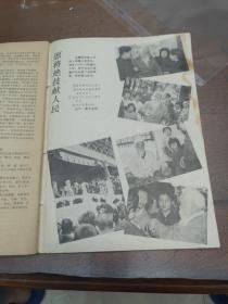 达摩秘功 武魂特辑