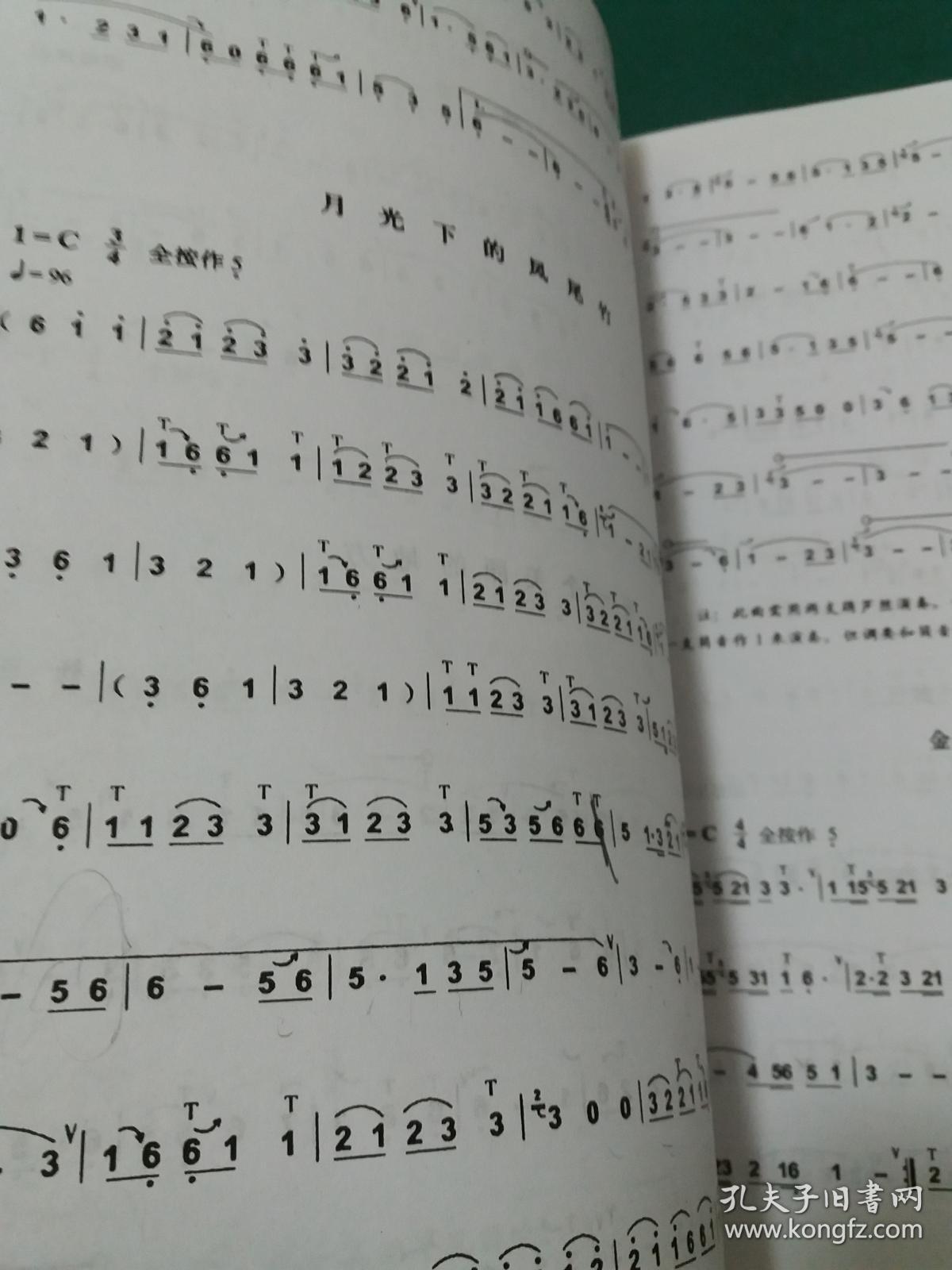 葫芦丝巴乌实用教程 【库存书未阅无字迹勾画】